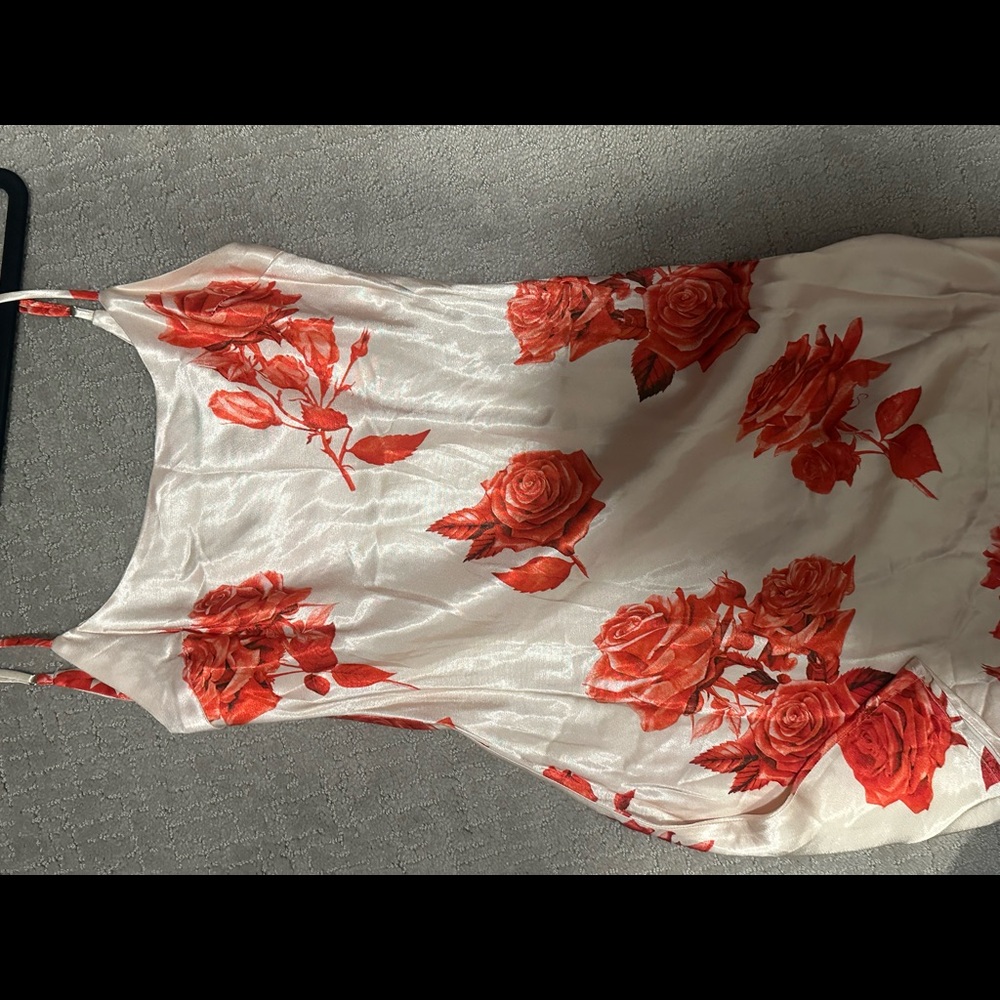 Meshki Rose mini dress